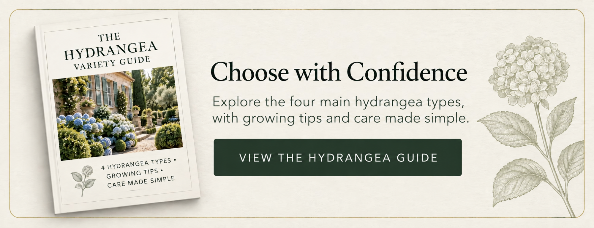 Choose with Confidence with The Hydrangea Variety Guide