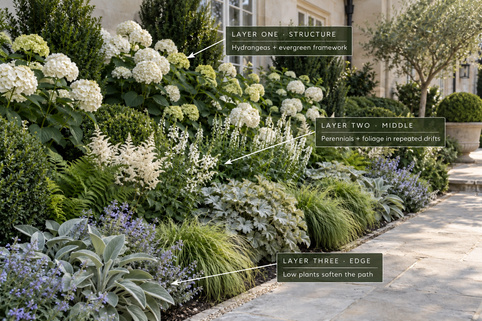 Annotated three-layer white hydrangea border showing hydrangeas and evergreens at the back, flowering perennials and foliage in the middle, and low plants along the limestone path edge