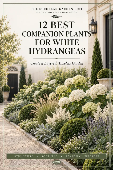 Cover of 12 Best Companion Plants for White Hydrangeas complimentary mini guide