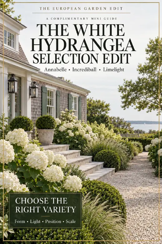 Cover of The White Hydrangea Selection Edit complimentary mini guide