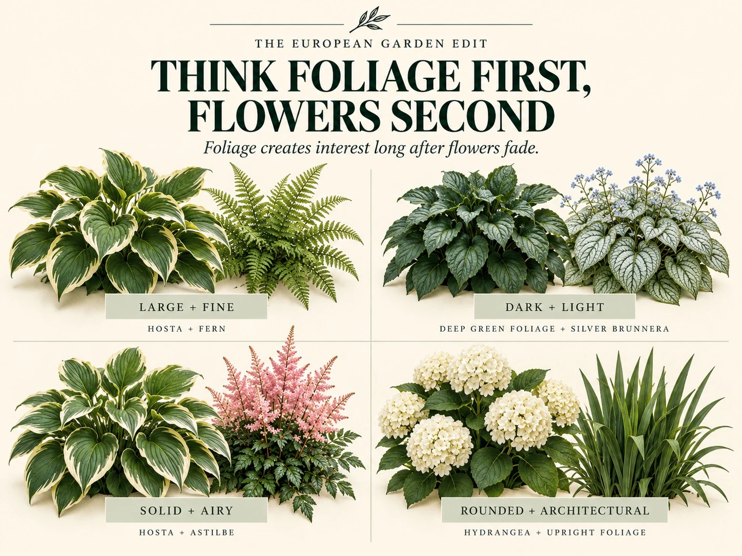 Foliage comparisons illustrating broad and fine leaves, light and dark colours, and rounded and upright forms.