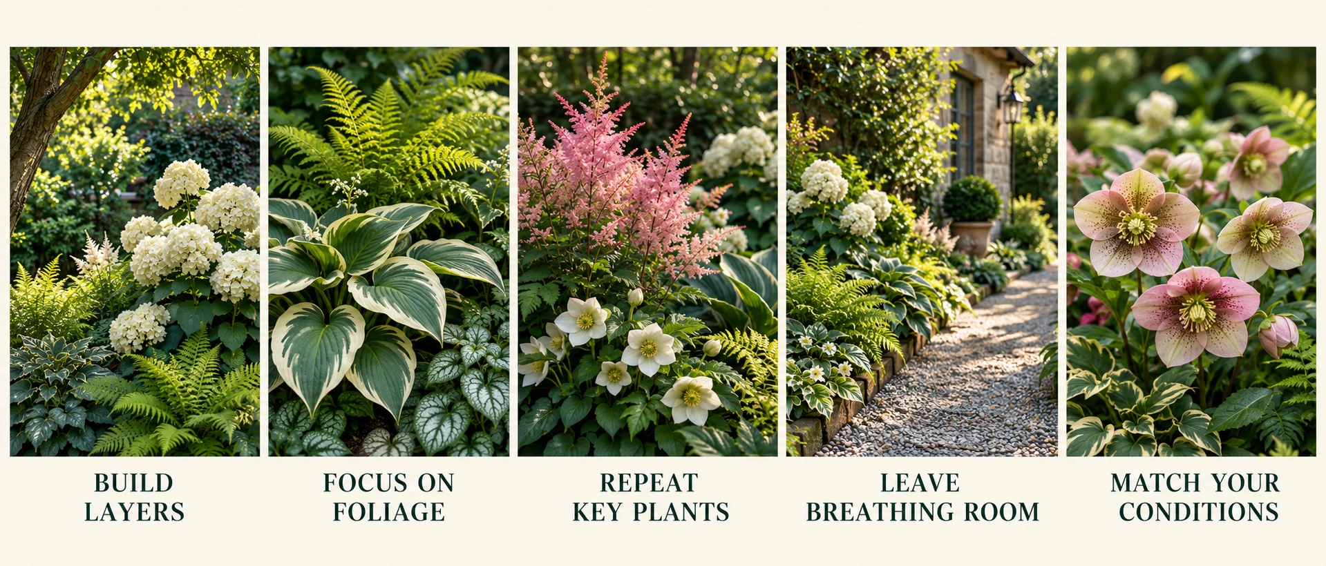 Five garden photographs illustrating layers, foliage, repeated plants, breathing room and suitable growing conditions.