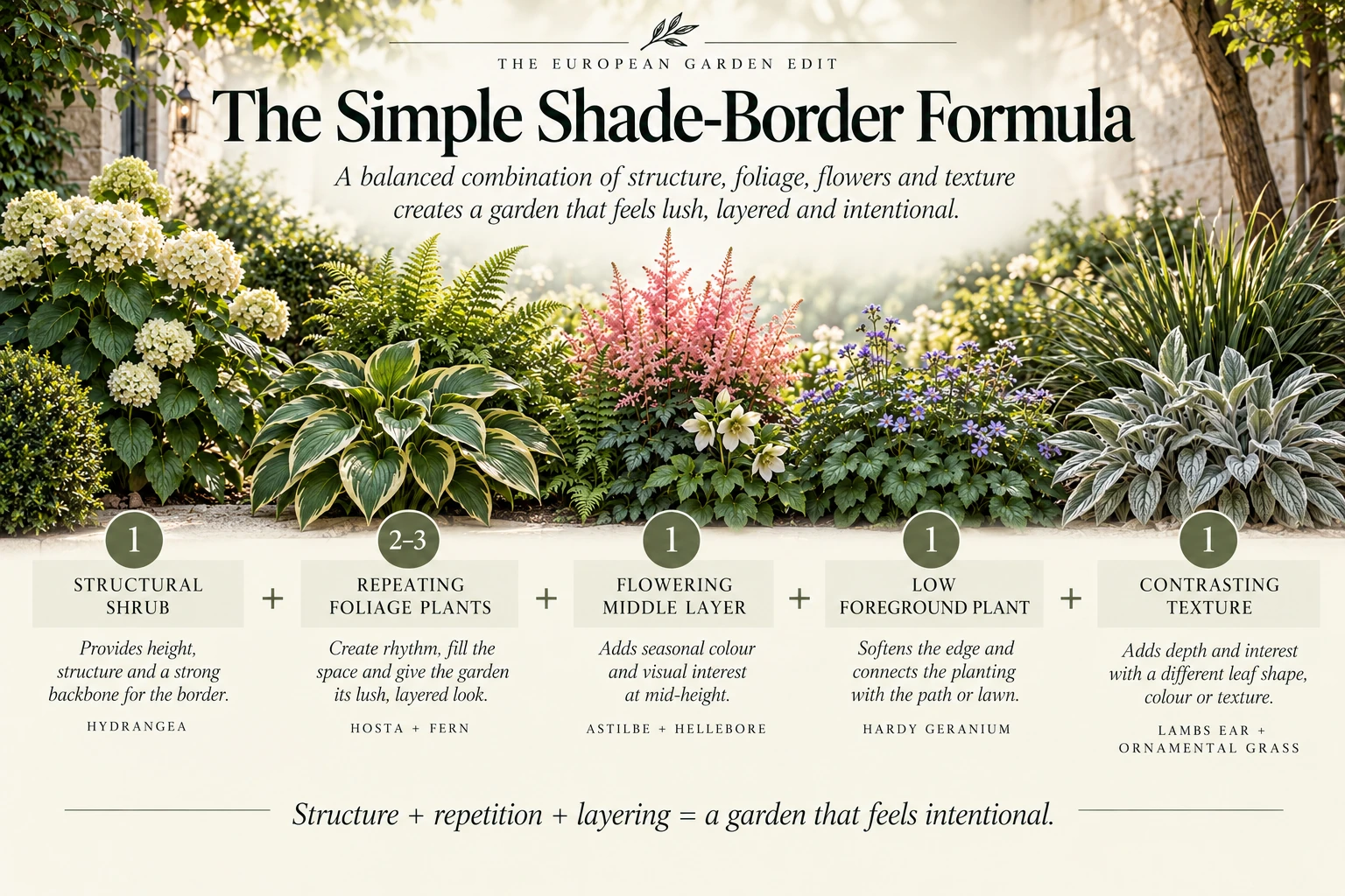 Shade-border formula combining a structural shrub, repeated foliage, flowering perennials, foreground plants and contrasting texture.