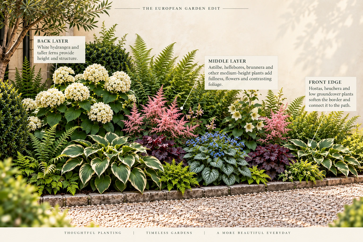 Layered shade border with labelled back, middle and front planting, including hydrangeas, astilbe, brunnera, ferns and hostas.