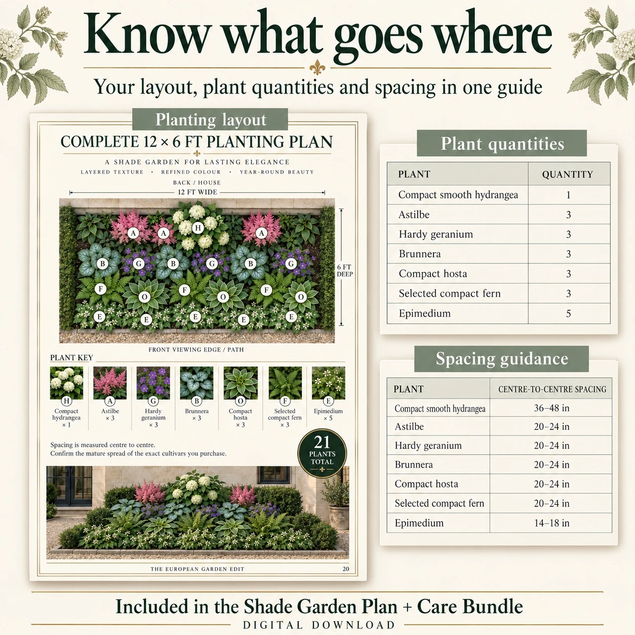 Shade Cottage Garden Plan showing a 12 by 6 foot border, plant positions, quantities and spacing guidance.
