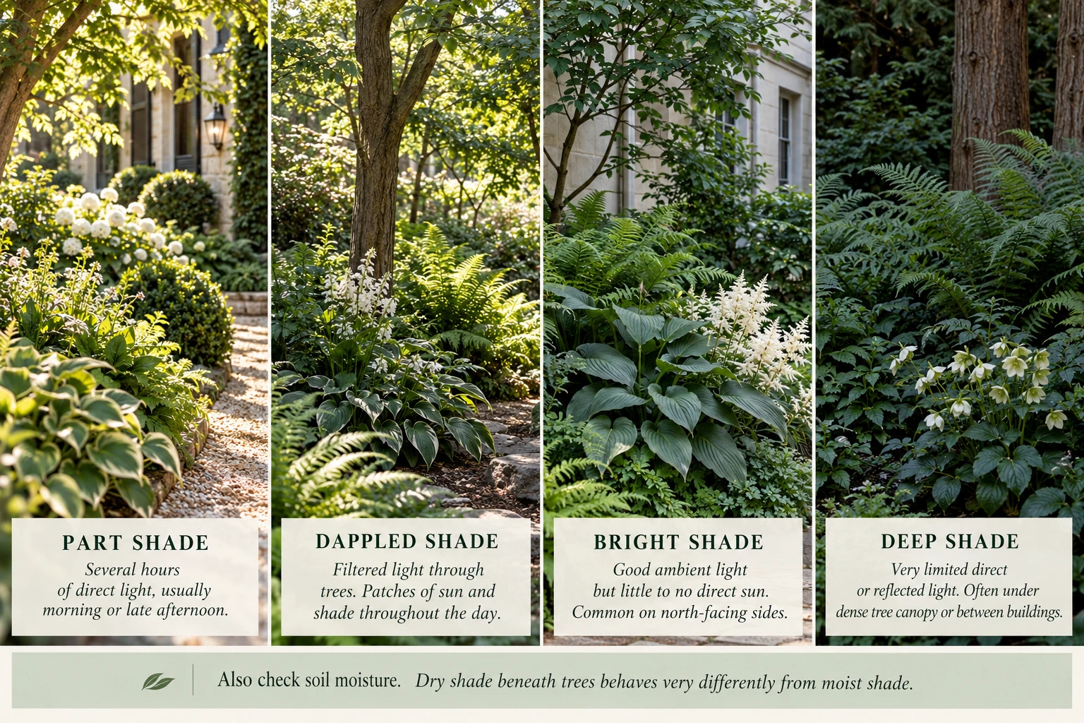 Four illustrations comparing part shade, dappled shade, bright shade and deep shade.