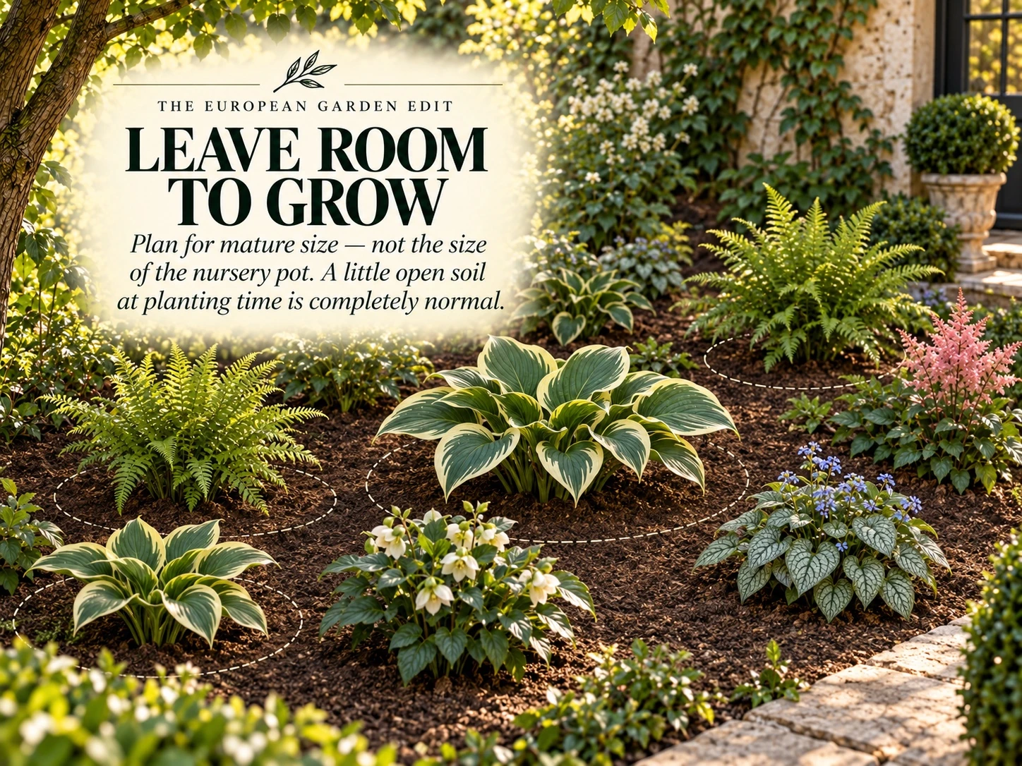 Comparison of crowded planting and spaced plants with room to reach mature size.
